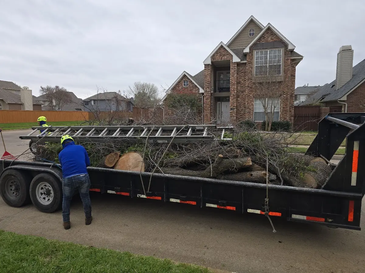 Expert Tree Pest Control with proper safety equipment in Mapleton